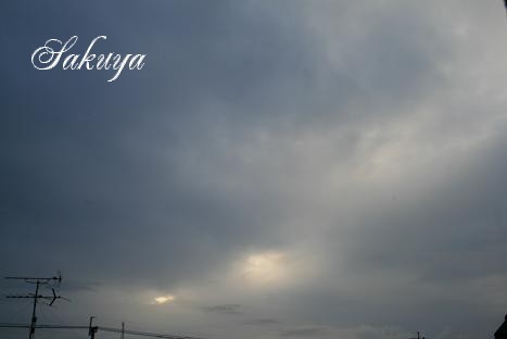 e0122194_8171714.jpg