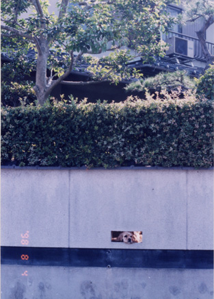 e0125894_001019.jpg