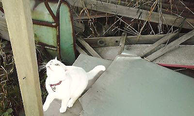 c0206596_13564641.jpg