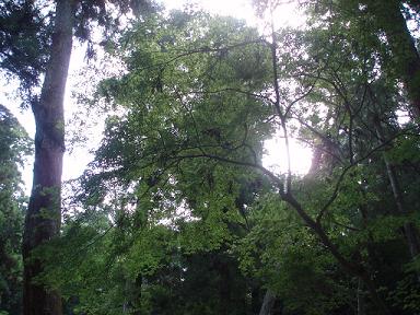 e0073196_1634350.jpg