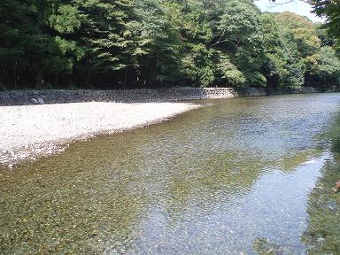 e0073196_164064.jpg