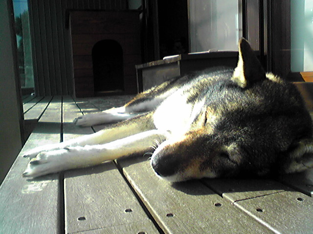 f0079202_14341328.jpg