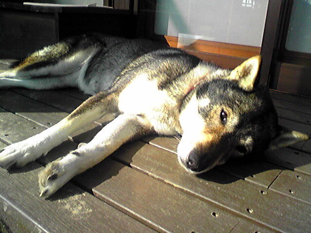 f0079202_14341349.jpg