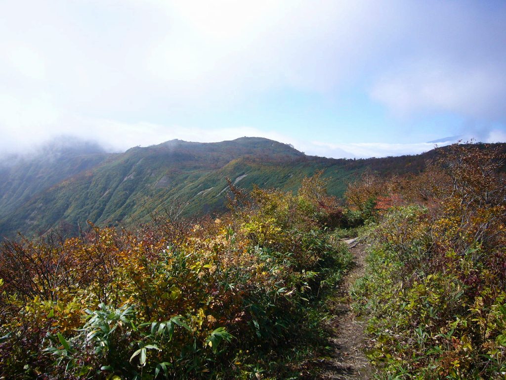 b0050305_083136.jpg