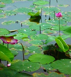 c0148705_23114941.jpg