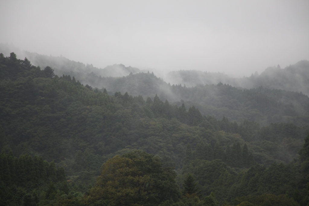 c0041207_21272579.jpg