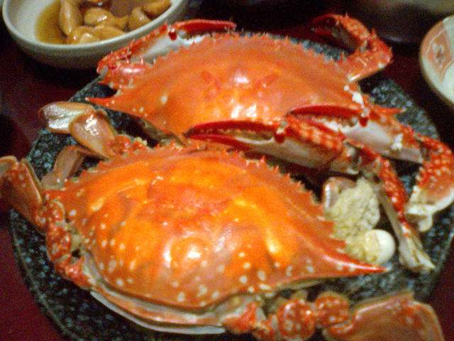 a0101715_1210121.jpg