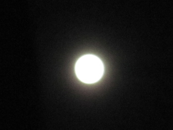 f0161318_23542383.gif