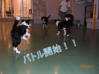 e0179321_22472758.jpg