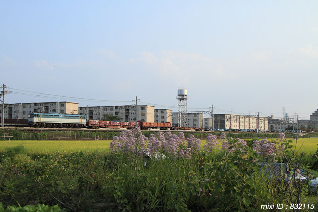 f0204321_1830796.jpg