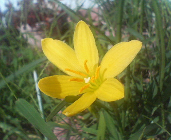f0036223_13205186.jpg