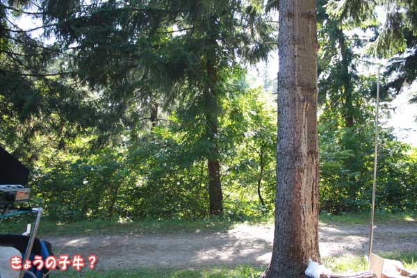 f0203423_16294385.jpg