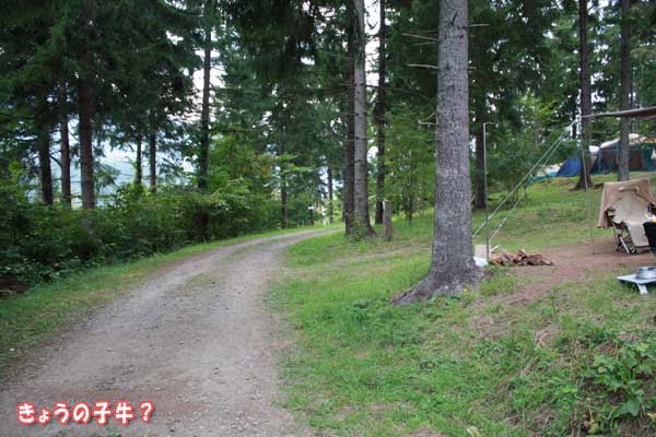 f0203423_16295934.jpg