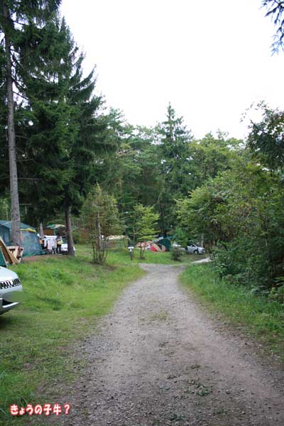f0203423_16301199.jpg