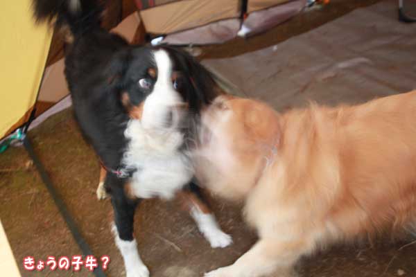 f0203423_16301875.jpg