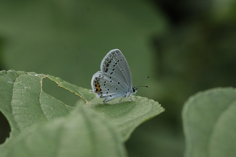 d0054625_23153627.jpg