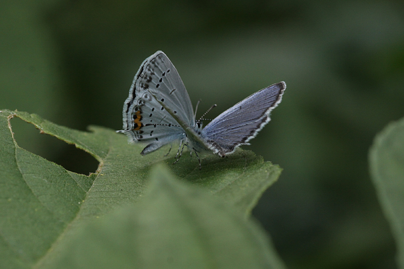 d0054625_2317265.jpg