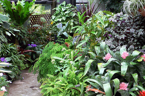 a0046429_956857.jpg