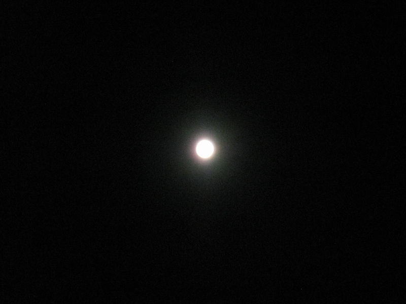 b0168830_20341984.jpg