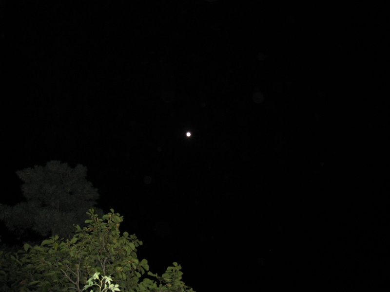 b0168830_2034462.jpg
