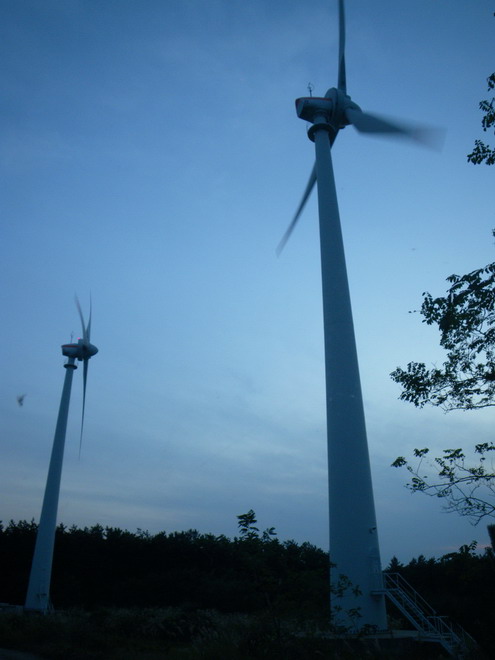 c0035931_22374760.jpg