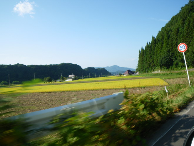 c0035931_2237570.jpg