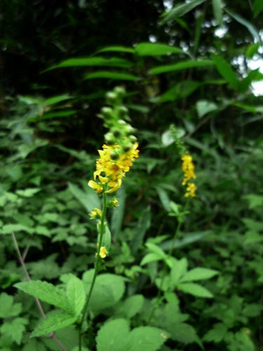 d0037233_972135.jpg