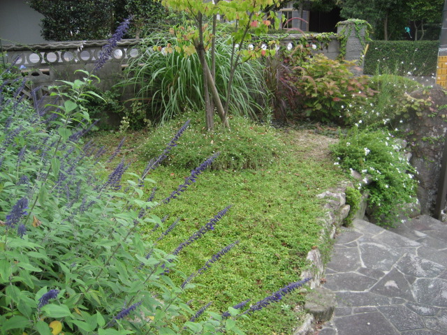 b0166435_1730433.jpg