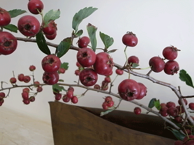 a0108837_11591662.gif