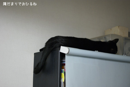 c0132438_22181361.jpg