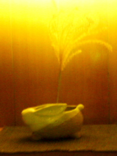 f0164842_20294854.jpg