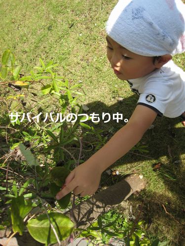 a0090451_23513416.jpg