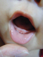 b0153351_12353572.jpg