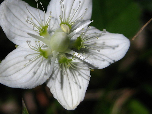 c0179351_21123775.jpg