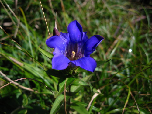 c0179351_2113985.jpg