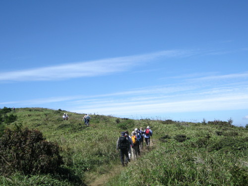 c0179351_21173321.jpg