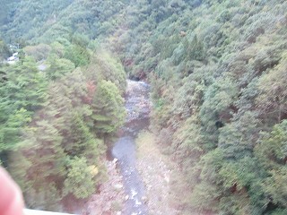 d0031853_6503121.jpg