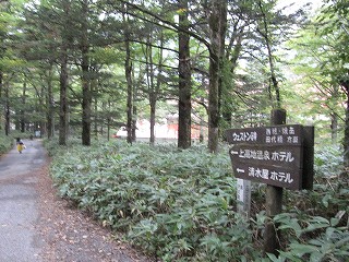 d0031853_6515293.jpg