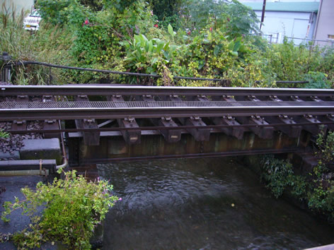 f0067354_10242988.jpg