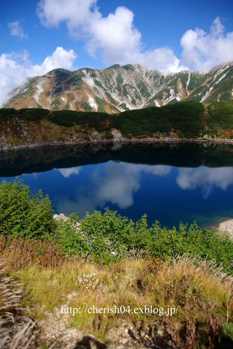 f0207754_22391386.jpg