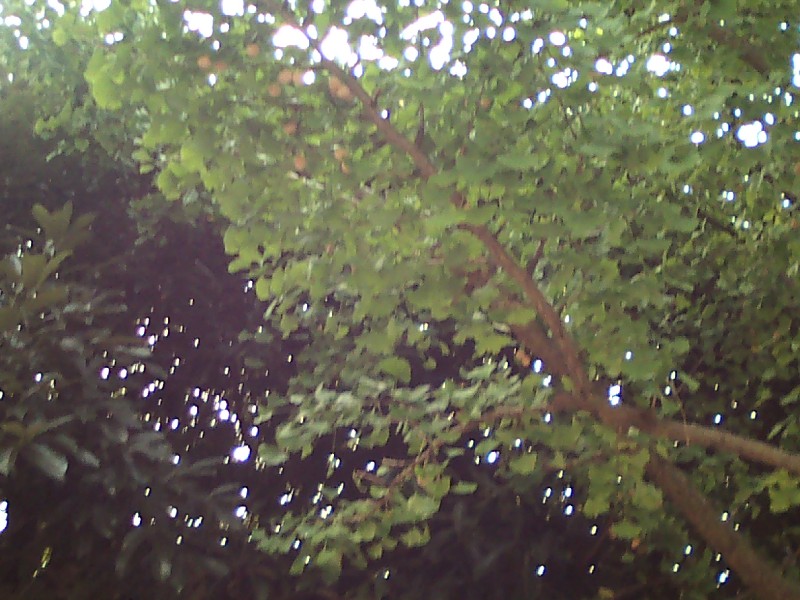 c0214259_23311722.jpg