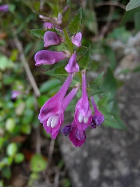 b0104861_23484684.jpg