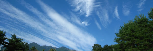 c0062361_16112929.jpg
