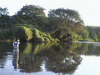f0084561_11362710.gif