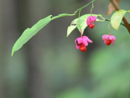 b0186563_22143141.jpg