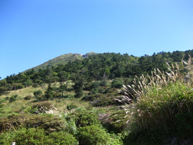 c0042869_19583370.jpg