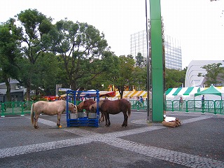b0171771_1948472.jpg