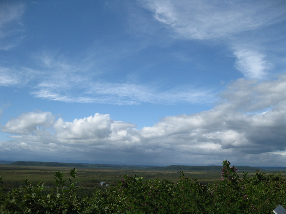 b0174079_6374955.jpg