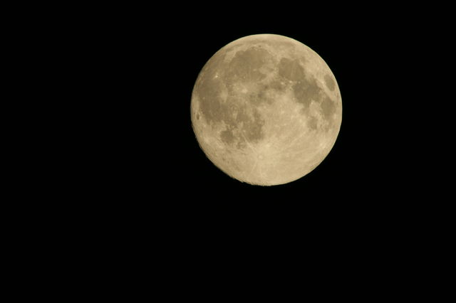 e0100589_234763.jpg