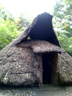 d0034291_141846.jpg